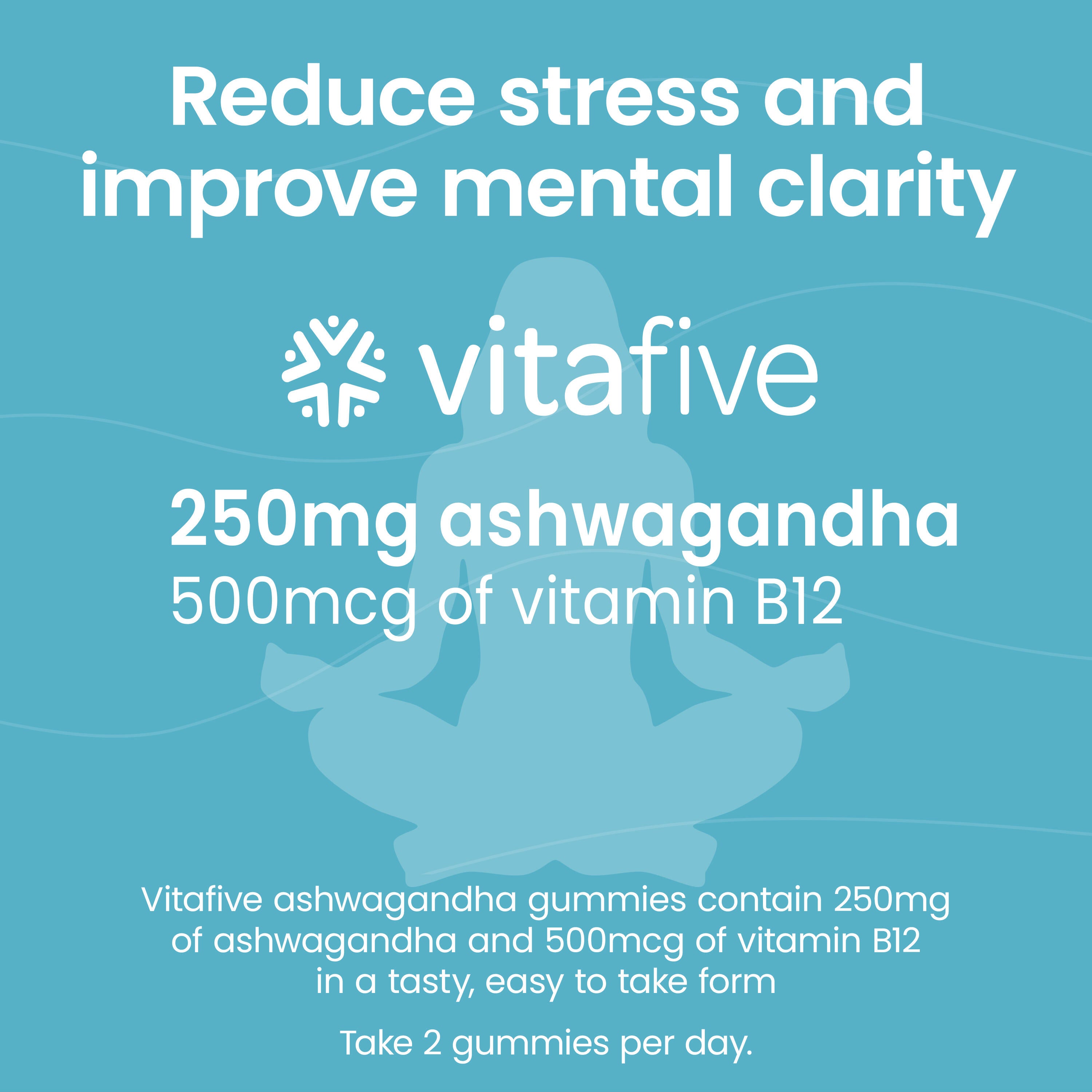 Experience relaxation with vitafive’s Low Sugar Ashwagandha Gummies! Less than 1g of sugar, 250mg of ashwagandha, and natural flavors make stress relief easy and tasty!